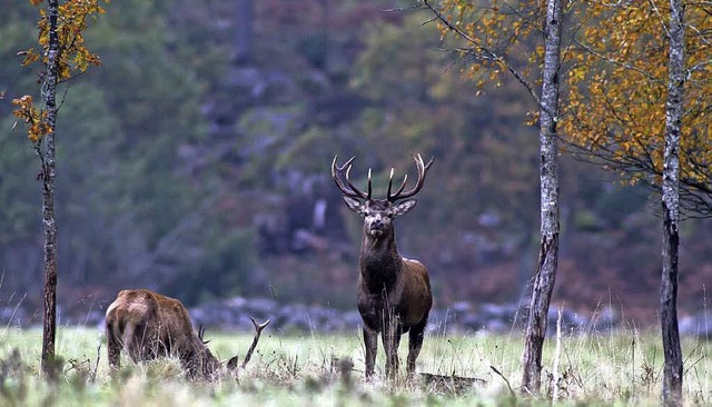   | Foto: Erich Marek