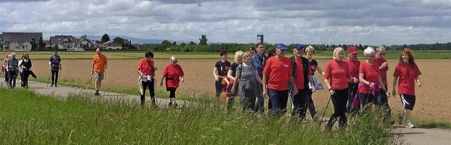 Viele nahmen teil am Walking- und Jogg...Erls immer an einen guten Zweck geht.  | Foto: Dieter Fink