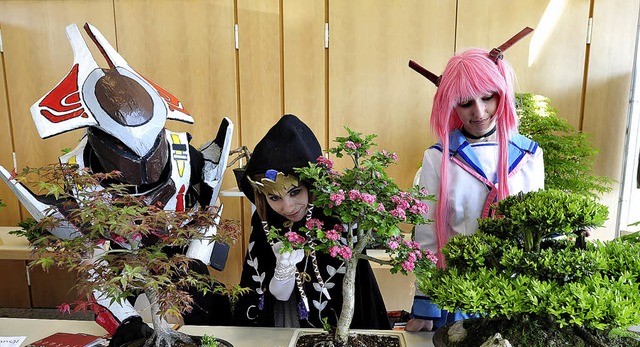 An Bonsai-Bumchen erfreuen sich auch ...;) und Yui (&#8222;Angel Beats&#8220;)  | Foto: thomas kunz