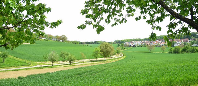 Salzerterweiterung: Das Gebiet unterha...ls potenzielles Baugebiet vorgesehen.   | Foto: Nikolaus Trenz