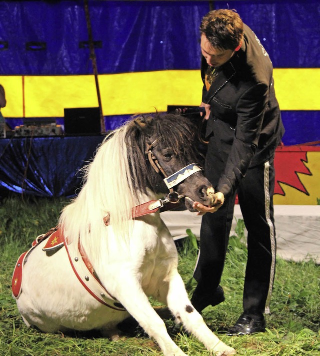 Auch einige tierische Nummern gehren zum Programm.  | Foto: Anja Bertsch