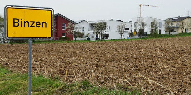 Im &#8222;Lochacker III&#8220; sollen zehn Baupltze ausgewiesen  werden.   | Foto: Markus Maier