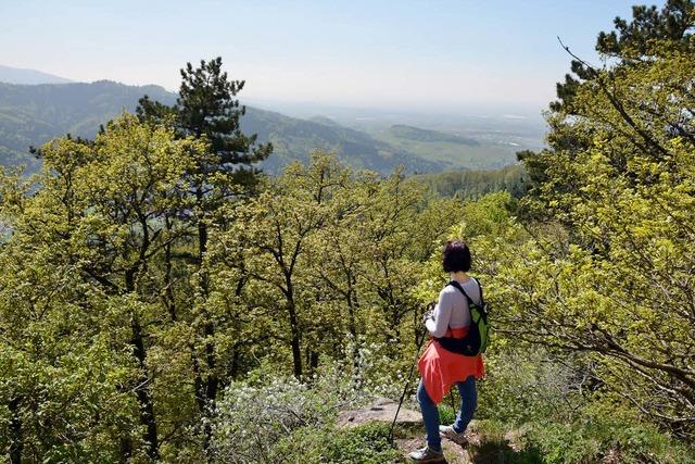 Wanderung rund um Staufen