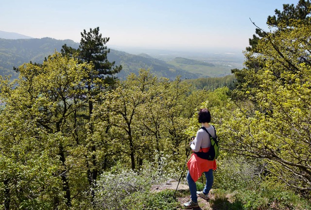 Gttlich: die Ausblicke auf der Etzenbacher Hhe   | Foto: Anita Fertl