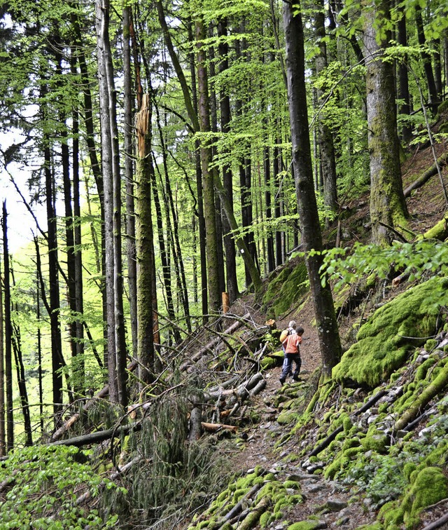 Abenteuerspielplatz Wald: Der Schlucht...er Natur perfektes Gelnde fr Kinder.  | Foto: Anita Fertl