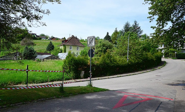 Im  &#8222;Ziegelacker&#8220; auf dem ...r Grtnereigebiet soll  gebaut werden.  | Foto: Martina Proprenter