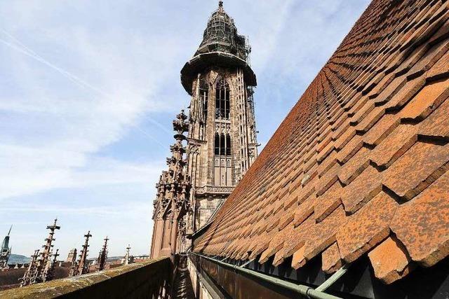 Warum Jugendliche das Münsterdach neu decken mussten
