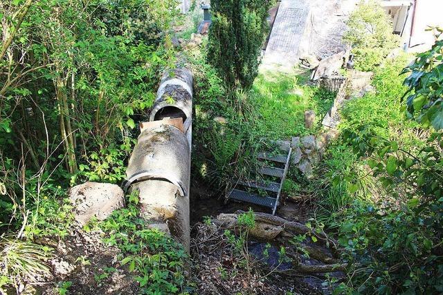 Maroder Mhlenkanal in Sulzburg soll saniert werden