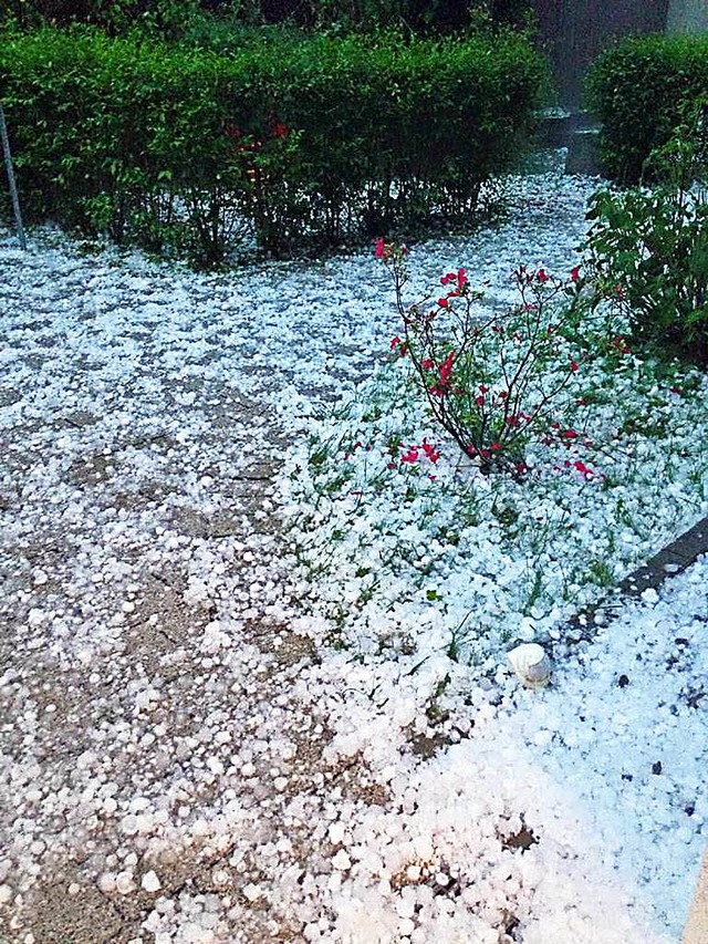 Ein Teppich aus Hagelkrnern in einem Garten in Haslach  | Foto: Michael Bamberger