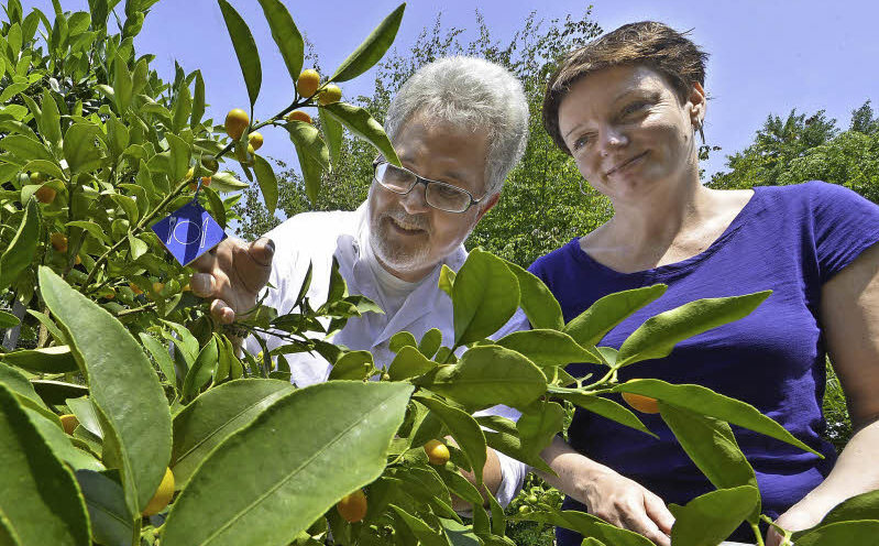 Der Botanische Garten In Freiburg Ein Garten Fur Alle S