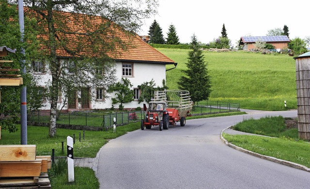 100 Meter Gehsteig bekommt die L155 in Bergalingen zwischen Anwesen 16 und 22.   | Foto: gerd leutenecker