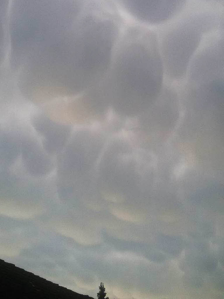 Dem Aufruf der BZ, Fotos der Mammatus-Wolken ber Freiburg und der Region einzusenden, sind dutzende Leser gefolgt. Die beutelartigen Quellformen an der Unterseite von Wolken waren unmittelbar vor dem Unwetter am Mittwochabend zu sehen.