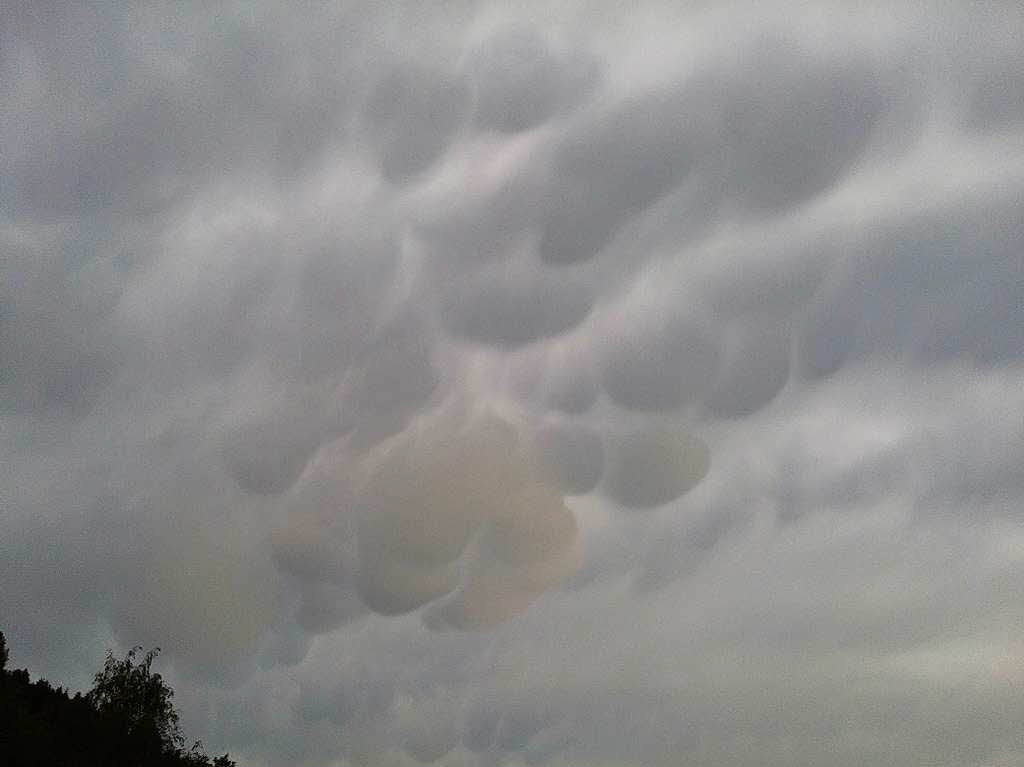 Dem Aufruf der BZ, Fotos der Mammatus-Wolken ber Freiburg und der Region einzusenden, sind dutzende Leser gefolgt. Die beutelartigen Quellformen an der Unterseite von Wolken waren unmittelbar vor dem Unwetter am Mittwochabend zu sehen.