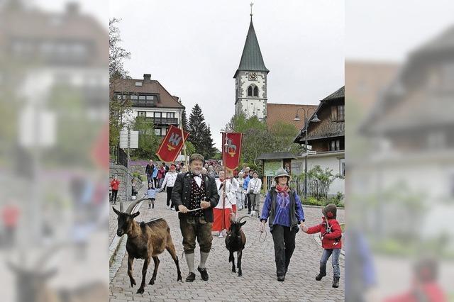 Die Geien blieben lieber im Stall