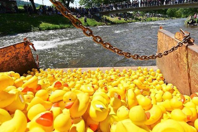 Fotos: Entenrennen in Freiburg