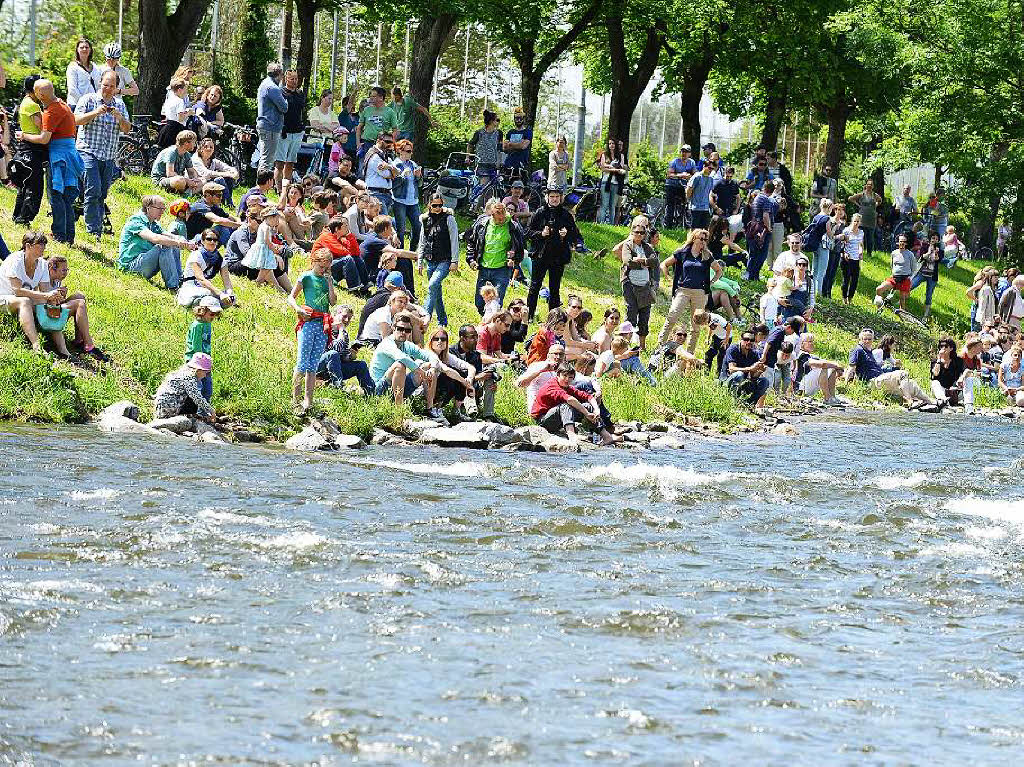 Quietschvergngt ist es beim Freiburger Entenrennen zugegangen. 7600 Gummitierchen schwammen in der Dreisam fr den guten Zweck.