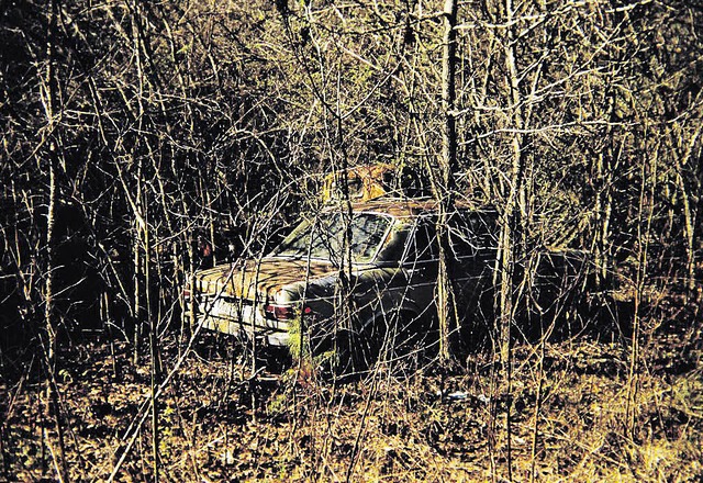 &#8222;Two broken cars&#8220; von Peter Riedlinger    | Foto: Peter Riedlinger