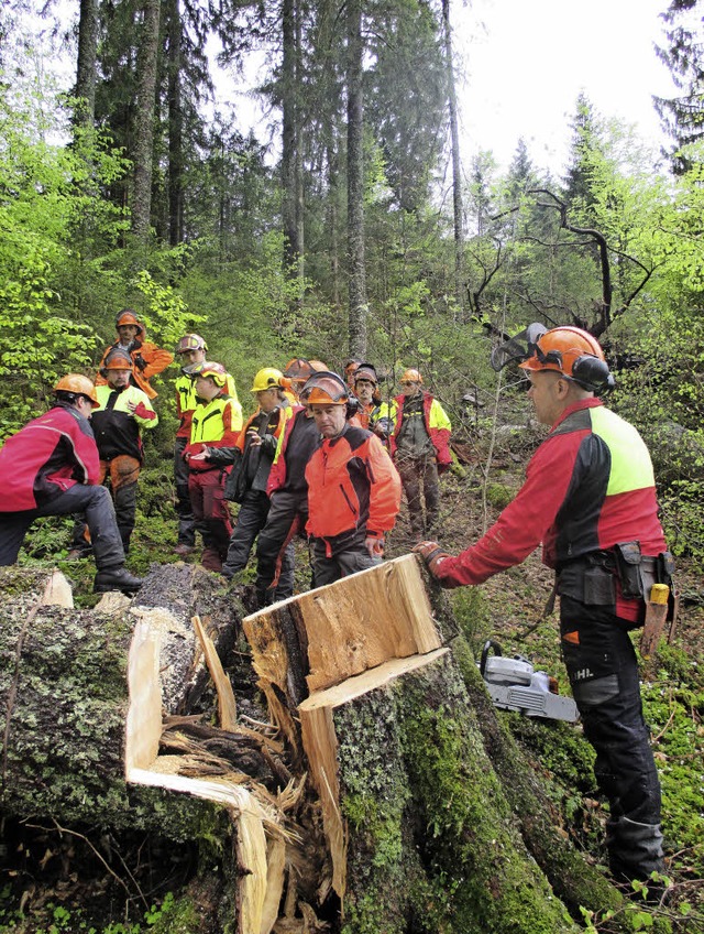 Sturmholzschulung: Waldarbeiter vertie...e bei der Aufarbeitung von Sturmholz.   | Foto: PRivat