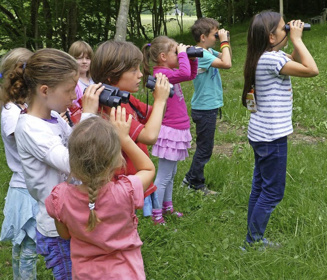 Ja, wo sind sie denn nur, die Vgel? S...Naturbeobachtung mit dem Feldstecher.   | Foto: Privat