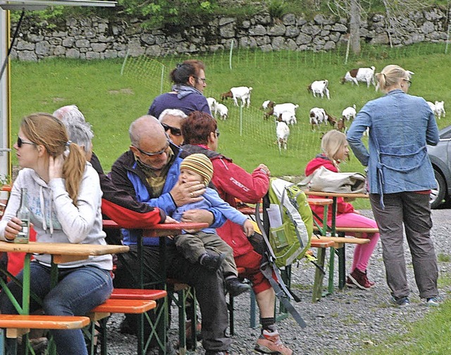 Gro war das Interesse am Tag der offe...kuh- und Ziegenstall in Menzenschwand.  | Foto: Christiane Sahli