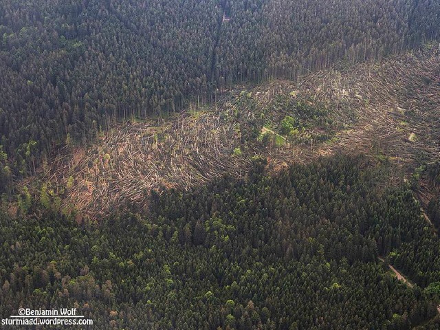 Bei Bonndorf sind die Waldschneisen na...rnado schlimmer als nach Orkan Lothar.  | Foto: Benjamin Wolf