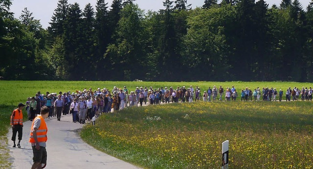 Wie ein Band ziehen sich die Pilger durch die Landschaft bei Segeten.  | Foto: hans loritz