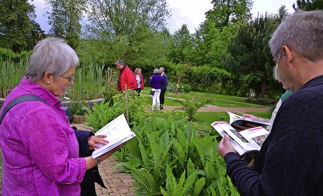 Im Bibelgarten: Die Helfer schlagen im...was zu den Pflanzen geschrieben steht.  | Foto: Martina Proprenter