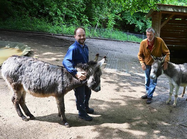 Die beiden Frdervereinschefs Ralf Volk und Peter Hoch mit den Eseln.  | Foto: Sylvia Timm
