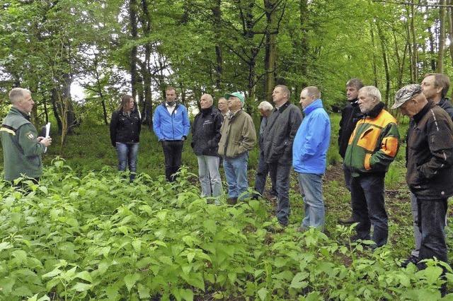 Wald hat zunehmend soziale Funktion