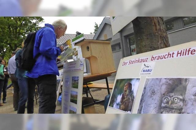 Wege fr Pflanzen und Tiere ffnen