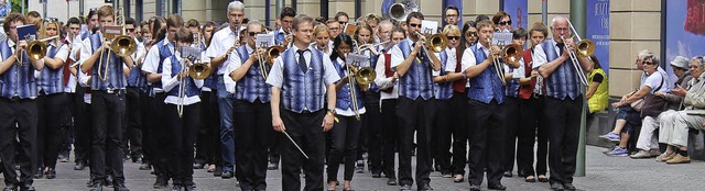 Ein beliebtes Fotomotiv war das Wehrer...ojekt-Orchester beim Landesmusikfest.   | Foto: ZVG