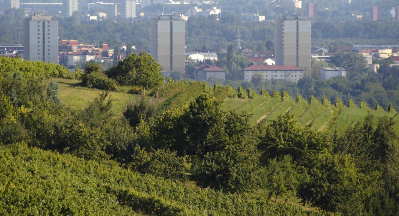 Am Tllinger Berg ist bereits einiges ...erbunds  Markgrflerland verwirklicht.  | Foto: Herbert Frey