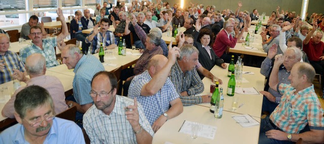 Fast alle Entscheidungen gingen in der...it einstimmigem Votum ber die Bhne.   | Foto: Langelott