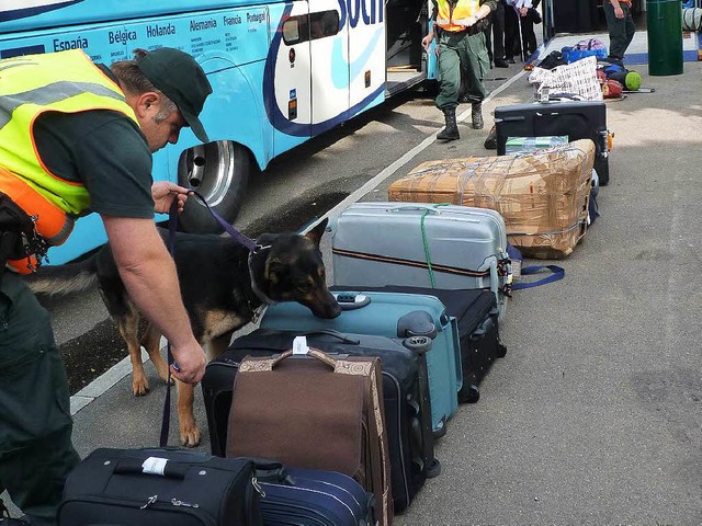 Drogenhund Adi schnffelt ohne Ergebnis am Gepck von Reisenden aus Spanien.   | Foto: cwe
