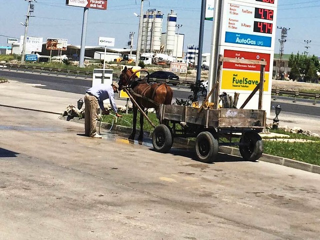 Sieht man auch nicht alle Tage: Ein Pferdegespann an einer Tankstelle  | Foto: privat
