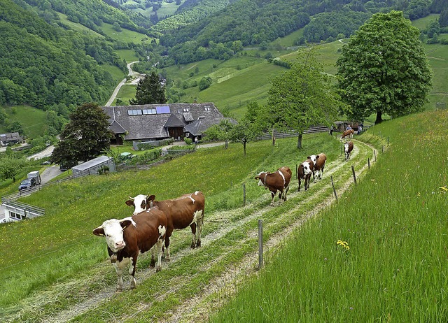 Teilweise noch unsicher, aber neugieri...222;Heimat auf Zeit&#8220; sein wird.   | Foto: Eberhard Gross