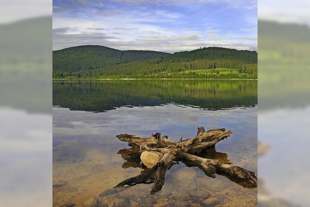 Kulinarische Wanderung am Schluchsee