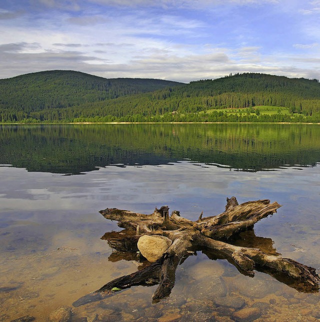 Blick auf den Schluchsee: Auch das erwartet Wanderer bei der kulinarischen Tour.  | Foto: HTG