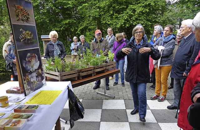 Prsidentin des Imkerverbandes Rheinfe...erklrt, wie wichtig die Bienen sind.   | Foto: I. Arndt