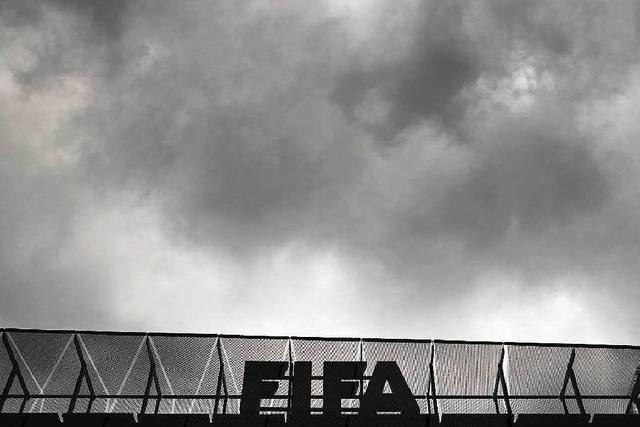 Fifa sperrt elf Funktionre - UEFA fordert Verschiebung der Wahl