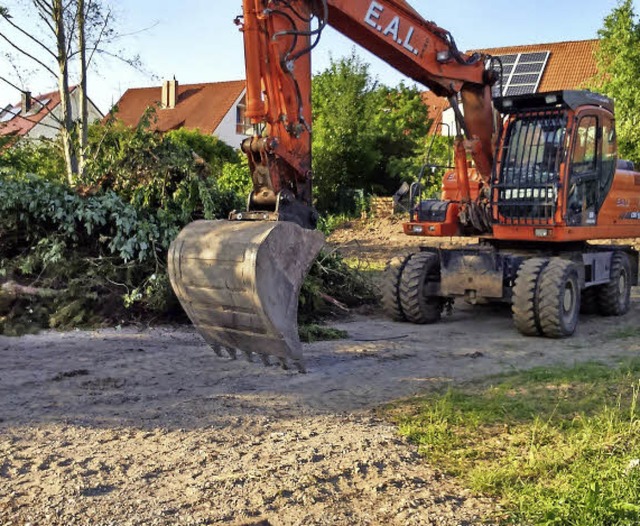 Links von der Baggerschaufel d er  gefllte, zersgte Kirschbaum.   | Foto: OpItz