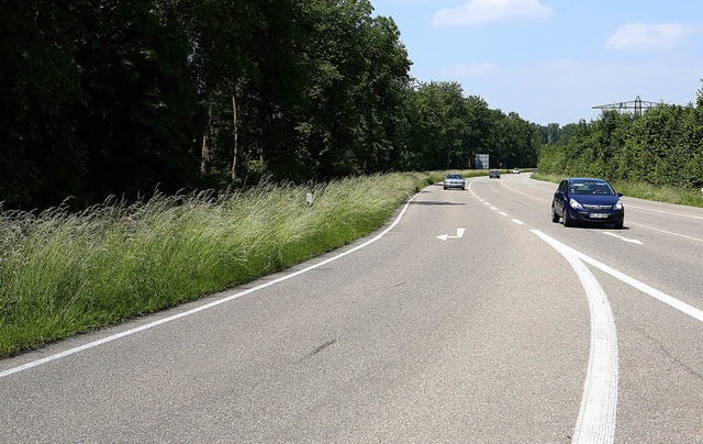 650000 Euro fr 600 Meter: Statt Gras ...hutzwand aus dem Straenbegleitgrn.    | Foto: CHRISTOPH BREITHAUPT