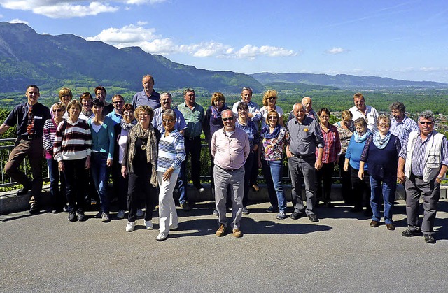 Die Hchenschwander Besuchergruppe auf der Aussichtsplattform in Baumgarten.  | Foto: Verein