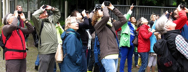 Interessierte Vogelbeobachter  | Foto: Georg Vo