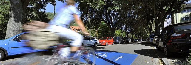 Viel befahrene Fahrradstrae: Die Hind...ae nutzten im April rund 7000 Radler.  | Foto: bamberger/Eggstein