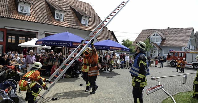 Jechtingen. Die Steckleiter wird aufgerichtet.  | Foto: Roland Vitt