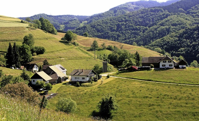 Holl-Buck mit seinen gerade mal vier H...e eine teure Ergnzungssatzung bauen.   | Foto: Heiner Fabry