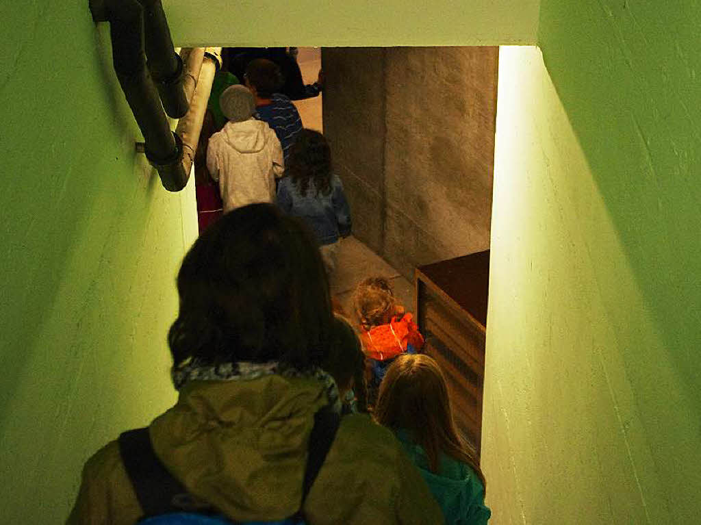 Über eine steile Treppe ging es in den Keller und hinter die Kulissen des Vivariums. Über eine steile Treppe ging es in den Keller und hinter die Kulissen des Vivariums.