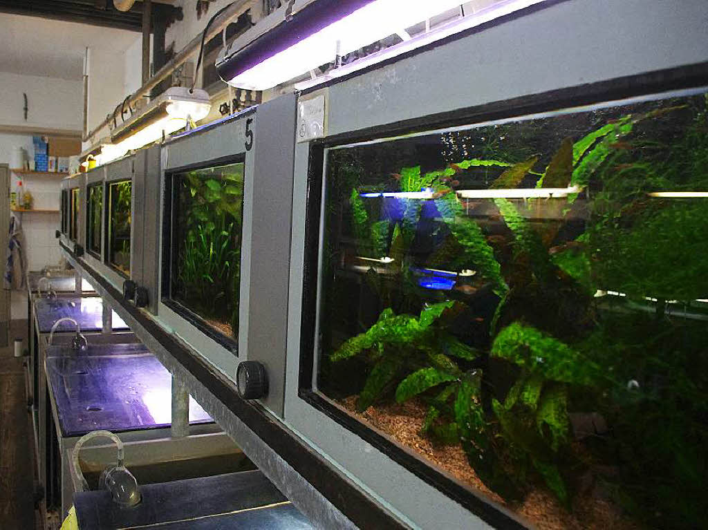 Hinter den Kulissen des Vivariums Hinter den Kulissen des Vivariums