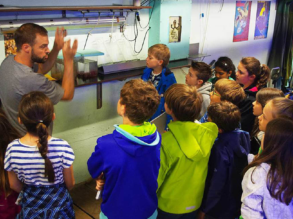 Tierpfleger Peter Hürzeler zeigt den Kindern, wie Plankton – winzigkleine Mikroorganismen wie zum Beispiel Salinenkrebse – für die Fütterung der Meerwasserfische gezüchtet wird. Tierpfleger Peter Hürzeler zeigt den Kindern, wie Plankton – winzigkleine Mikroorganismen wie zum Beispiel Salinenkrebse – für die Fütterung der Meerwasserfische gezüchtet wird.